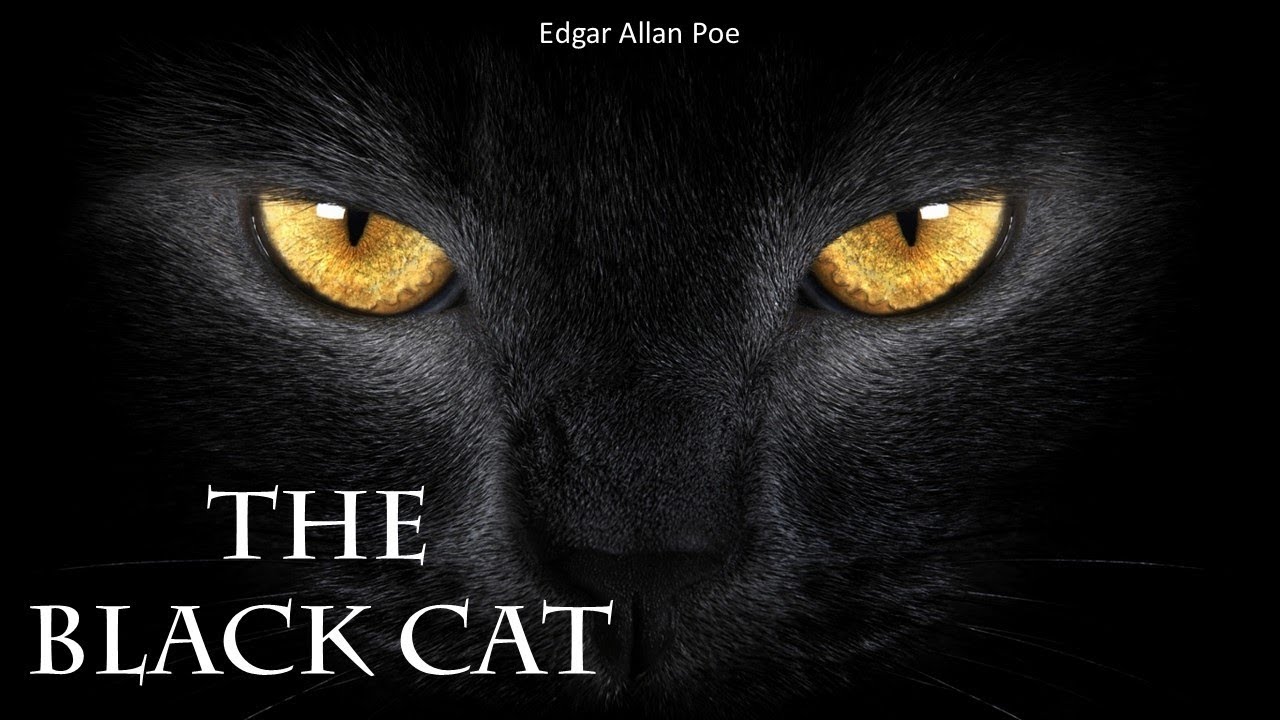 The Black Cat Edgar Allan Poe Pictures