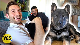 Surprising Best Friend with a New Puppy!!