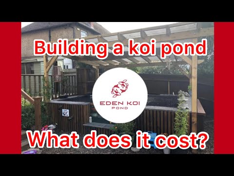 How much does it cost to build a koi?