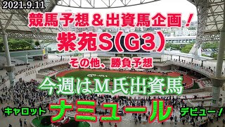 【 紫苑ステークス2021 】今週の競馬予想＆出資馬企画！今週はM氏の期待2歳馬ナミュールがデビュー！