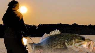 ULTRA Clear Water Smallmouth Bass Fishing