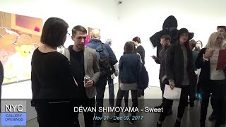 DE BUCK GALLERY - Devan Shimoyama