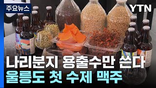 [新농비] 미네랄 풍부한 나리분지 용출수만 쓴다...울릉도 첫 수제 맥주 / YTN