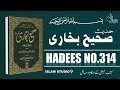 Sahih Bukhari Hadees No.314 | Hadees Nabvi in Urdu text | bukhari sharif pdf | Islam Studio 9