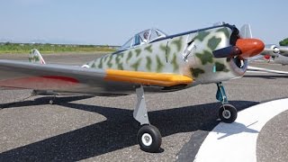 Nakajima Ki-43 'Oscar' 一式戦闘機 「隼」@ 第１４回中島飛行機スケール大会