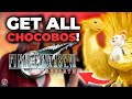 How To Locate & Catch Every Chocobo In Final Fantasy 7 Rebirth