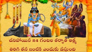 చనిపోయిన 24 గంటల తర్వాత ఆత్మ తిరిగి తన ఇంటికి ఎందుకు వస్తుంది//garudapuranam//#ammadevena