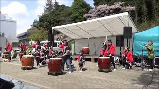 20230402　①バンバ桜祭り（和太鼓『楽』＆西地区ひまわり太鼓）