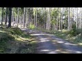 Harz-Wanderung vom Lossen-Denkmal zum Waldgasthaus Steinerne Renne