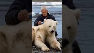 Old sailor shocked by unexpected discovery of parasites in polar bear's fur