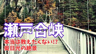 深さ100mの紅葉狩り【瀬戸合峡】奥日光に隠れる絶景スポット