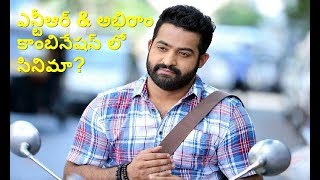 ఎన్టీఆర్ మరియు అభిరాం కాంబినేషన్ లో సినిమా?