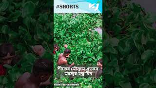 Farming Tips: শীতের মৌসুমে এভাবে মাছের যত্ন নিন #farmingtips #youtubeshorts #shorts #shortsfeed