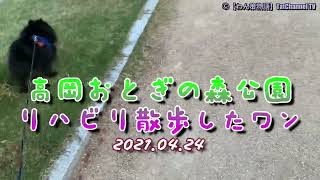 【🐾わん策物語】高岡おとぎの森公園　2021 04 24