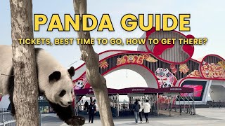 Chengdu Panda Base Guide! Best Time to Go, Tickets and What to Expect in Sichuan China
