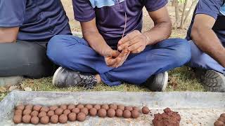 How to make Seed Balls for mass tree plantation