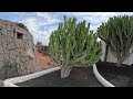 a stroll through playa blanca lanzarote