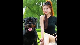 美女与野兽，罗威纳防暴犬#愿每个小狗都能遇见好的主人 #罗威纳护卫犬 #不养狗不知道养狗的乐趣 #主打的就是一个真实 #猛不猛你们说了算