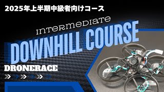 【コース紹介】41 Drone Park 2025 First half Course【中級者向け】 #マイクロドローン #ドローンレース #tinywhoop #beginner #スポーツドローン