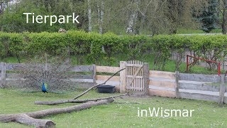 Tierpark Wismar