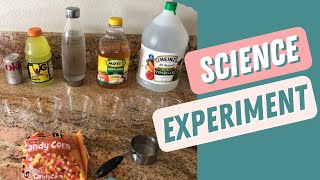 Science Experiment for Kids | Dissolving Candy Corn