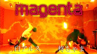 【ヲタ芸】magenta【白アルス×柊ちゃま】