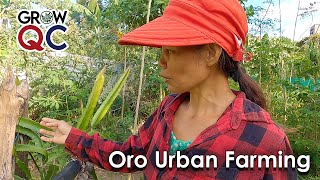 Ang Urban Farming sa Oro Compound, Bagbag - GrowQC