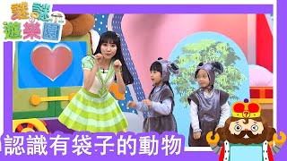 謎謎遊樂園｜認識有袋子的動物｜菩提幼兒園 ｜2021.05.11