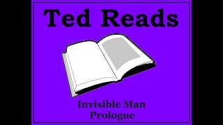 Invisible Man Ralph Ellison Prologue