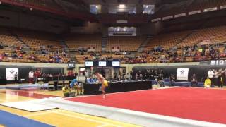Anthony Stefanelli Floor Exercise - B1G Event Finals 2016