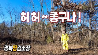 ★경북땅김소장★[매번832번] 양지 바른 산정상 땅/좋아요