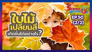 ใบไม้เปลี่ยนสีเกิดขึ้นได้อย่างไร | Science Around Us SS2 EP.50 [Part 2/2]