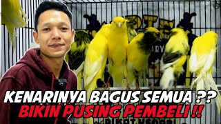 Ed4N❗Ternyata bukan pusat Kenari Yorkshire saja !! Tapi Pusat Kenari Rasmy mewah juga !! Muptek