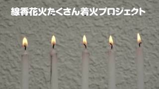 線香花火たくさん着火プロジェクト　I lit a lot of Japanese sparklers