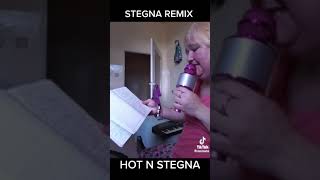 STEGNA STEGNA SŁOŃCE ŚWIECI (HOT N COLD REMIX)  #stegna #jestemwstegnie #remix #gosiadziedzic