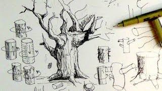 Pen & Ink Drawing Tutorials | How to draw tree trunks & branches