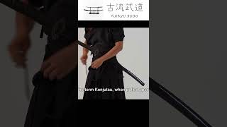 Kenjutsu & Iaijutsu / 剣術と居合 #japanesemartialarts  #kenjutsu  #iaijutsu