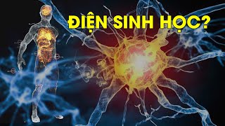 Tìm hiểu về điện sinh học với sức khỏe con người | Khoa học sức khỏe | CS GLOBAL