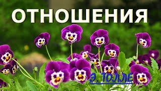 ОТНОШЕНИЯ ЛЮБОВЬ-НЕНАВИСТЬ [Экхарт Толле]