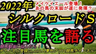 【注目馬を語る・雑談】2022シルクロードステークス！メイケイエール登場！遂にあの馬の末脚が炸裂する舞台がやってきた？