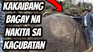 WVT :  5 Kakaibang Bagay Sa Na Nakita Sa Kagubatan | What's Viral Today