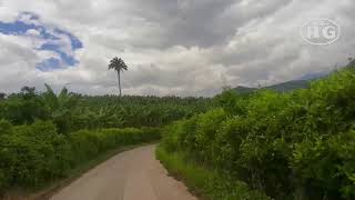 RECORRIDO DE LIMONES A SAMARIA ZONA RURAL DE CAICEDONIA