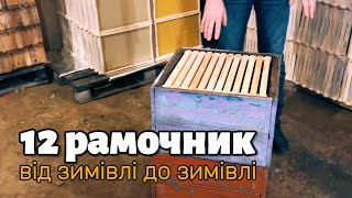 Річний цикл бджільництва в 12-рамковому вулику