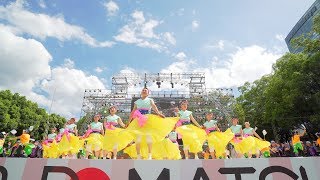 [4K] 鳴海商工会 猩々　どまつり 2018　本祭1日目