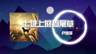 土坡上的狗尾草-盧潤澤  ✨動態歌詞 | 高清無損音質 ✨ 莫回頭快走吧，土坡上狗尾巴草搖啊，搖得人眼淚掉，你那頭月亮照不照得到？ 唱首狗兒的歌謠，我的小黃你卻已聽不到！土坡 狗尾草