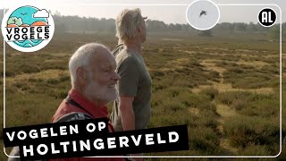 Broedvogels op de Holtingerveld | TV | Vroege Vogels