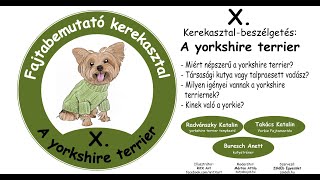 X. Fajtabemutató kerekasztal: A Yorkshire terrierek