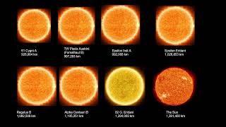 Star Size Comparison 2026