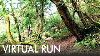 Virtual Running  - Virtual Run for Treadmill Scenery - Nature Trails