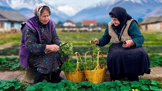 Traditional Malva Soup 🌿 | Grandma's Cozy Cooking in the Countryside